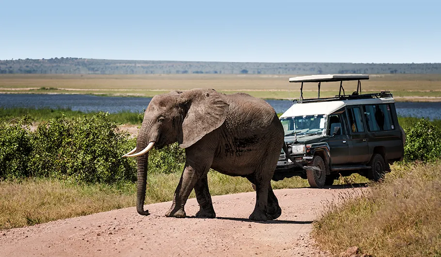 Tanzania 5 Day Safari Price