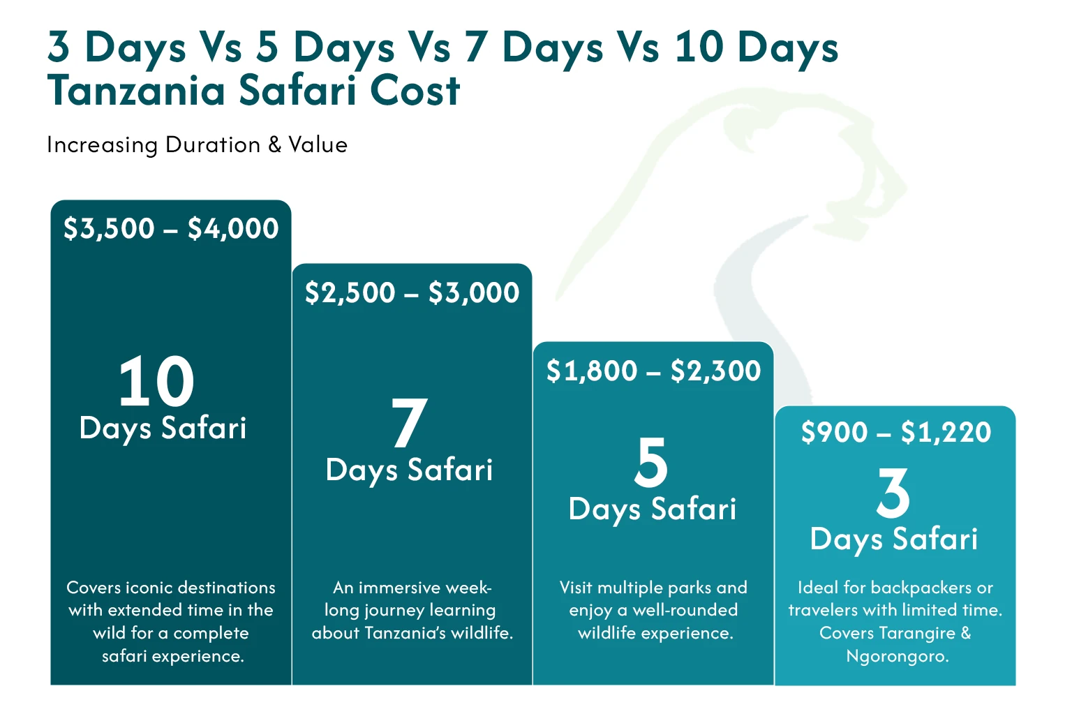 Budget Safari Options In Tanzania