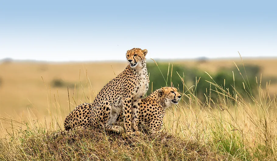 Tanzania Travel Cost Per Day Budget