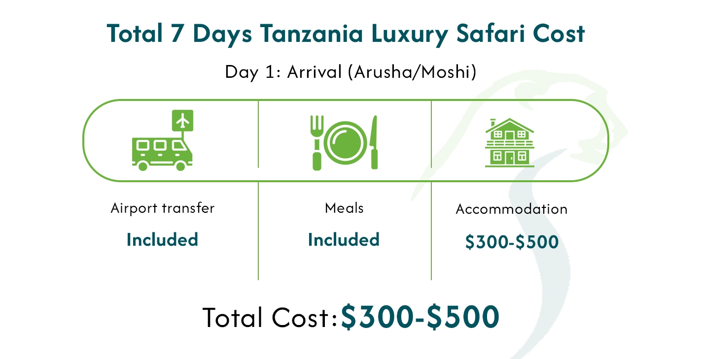 Luxury Safari Tanzania Cost