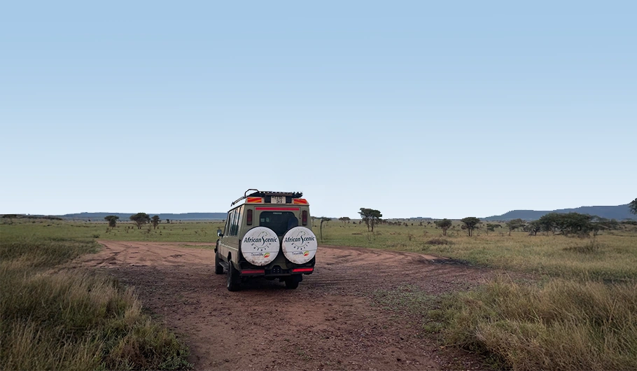 Cost To Visit Tanzania