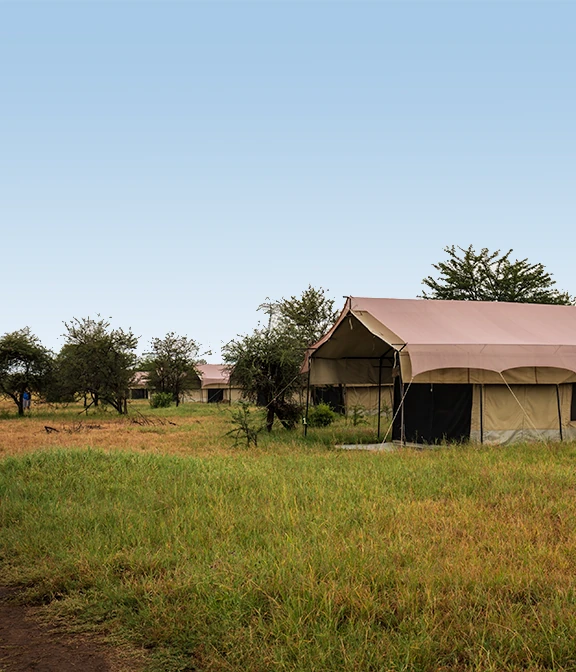 Tanzania Budget Accommodation Cost