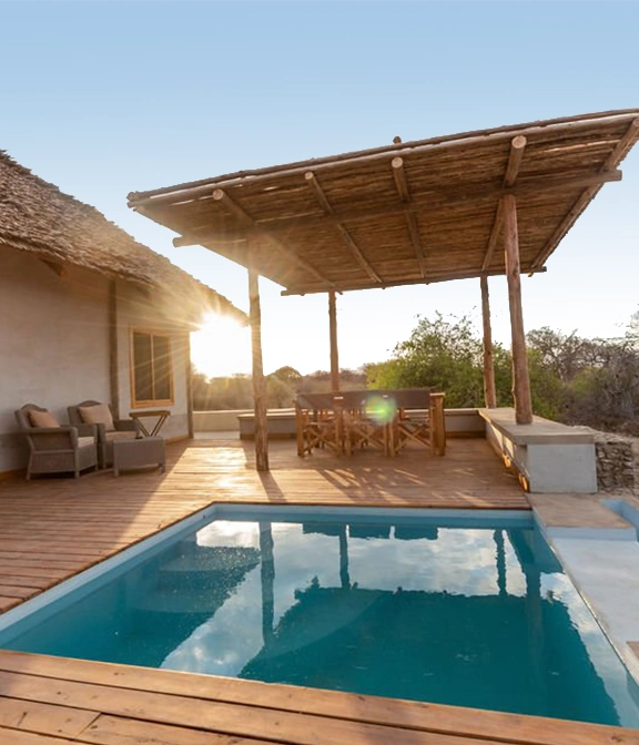 Safari In Tanzania Cost Per Day