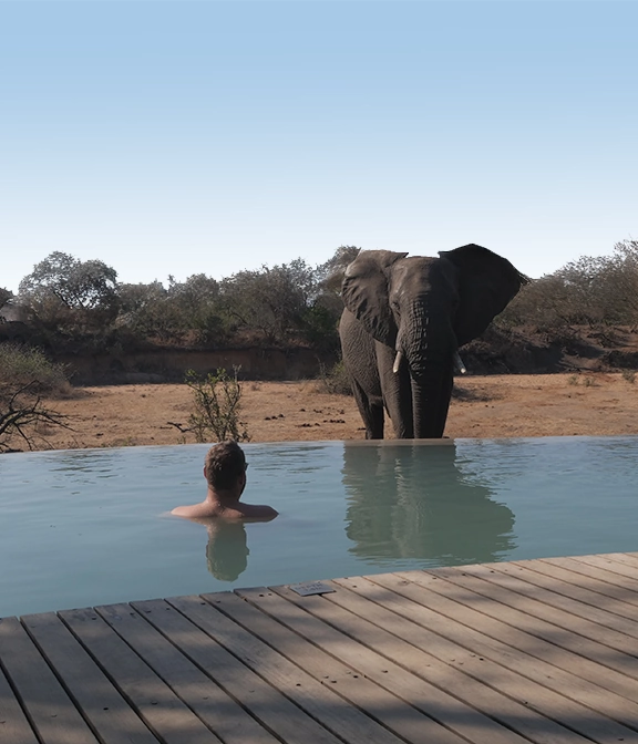 Tanzania Safari Tour Prices 2025