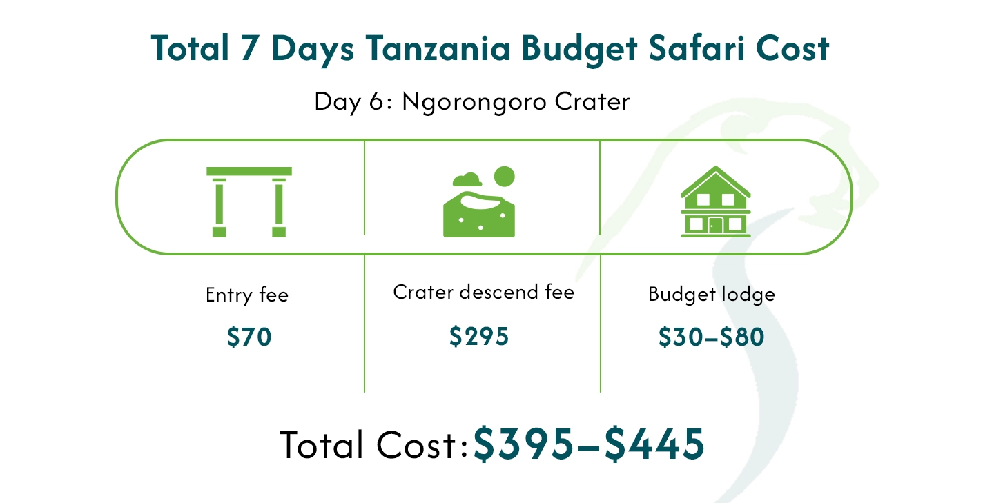 Tanzania Budget Safari Cost