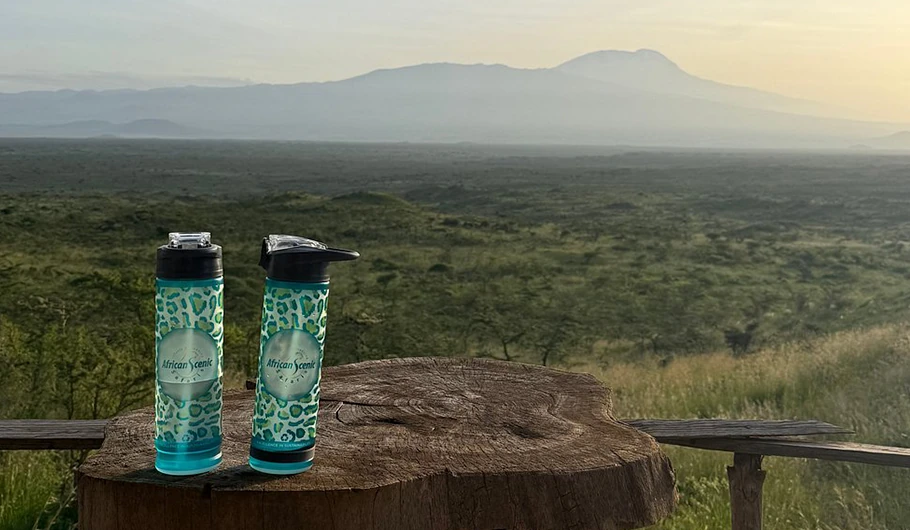 Cost Of A Safari In Tanzania