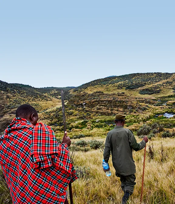 Safari Travel Agent Fee