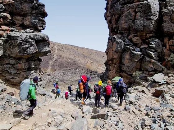 8 Days Lemosho Route