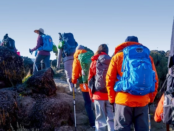 8 Days Lemosho Route