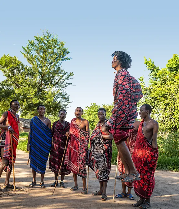 Tanzania Safari On A Budget Price