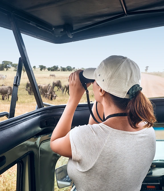 African Safari Tanzania Cost