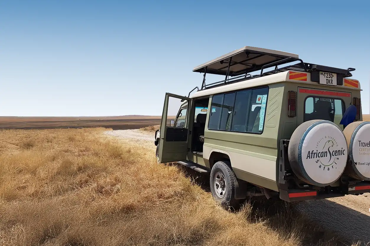 Luxury Safari
