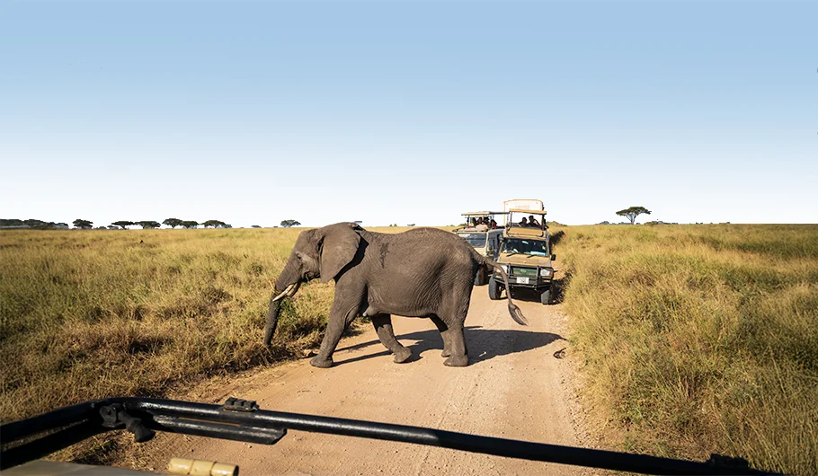 Trip To Tanzania Cost