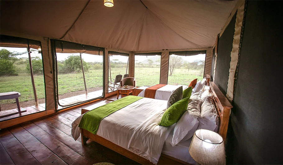 How Much Safari In Tanzania