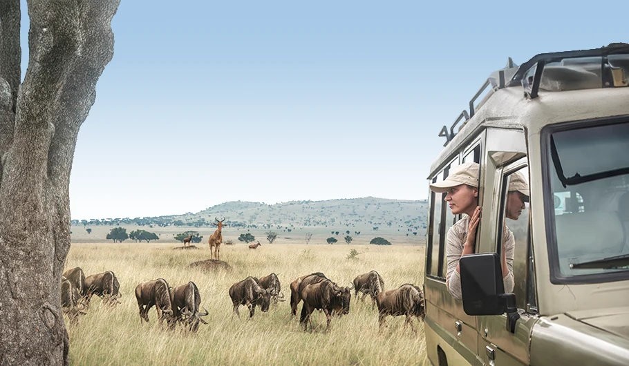 Tanzania Safari Tours Price
