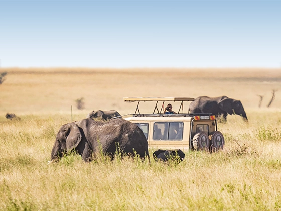 8 Days Tanzania Classic Safari