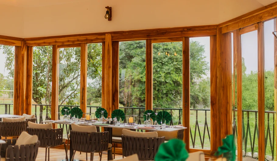 How Much Does A Safari Cost In Tanzania