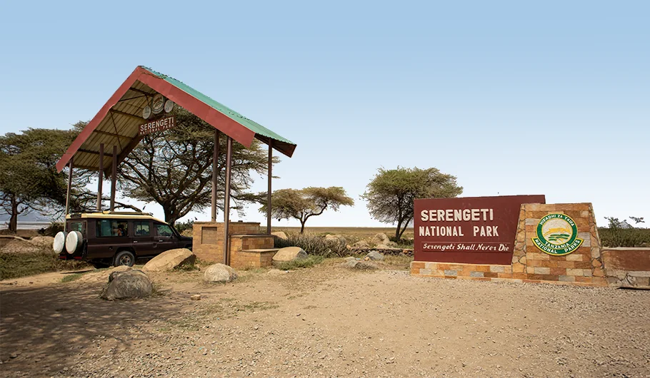 Tanzania Safari On A Budget Price