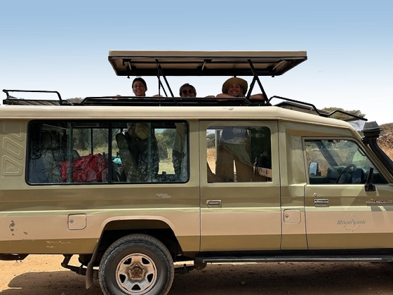 10 Days Tanzania Safari Closer To Nature