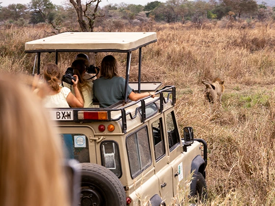 Classic Tanzania Safari