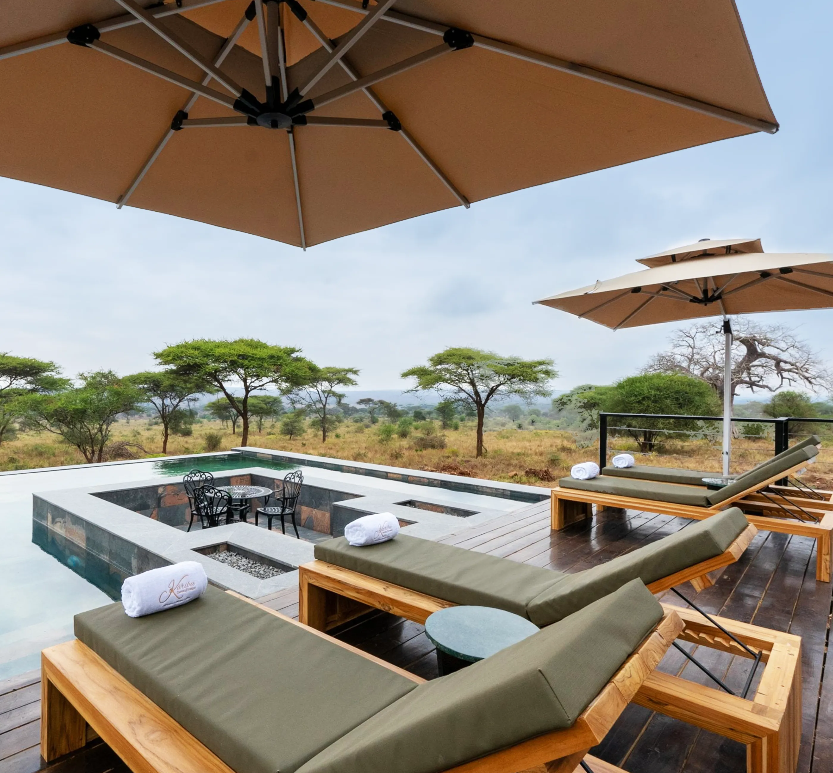 Luxury Tanzania Safari Packages