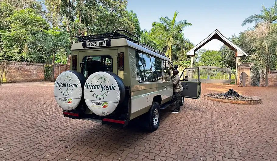 Safari In Tanzania Package Price