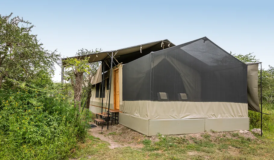 Tanzania Safari Cost