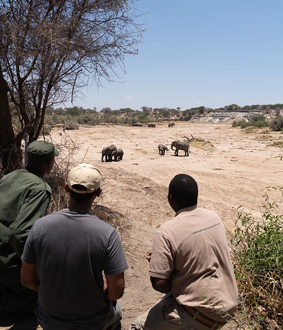 Tanzania Safari Cost