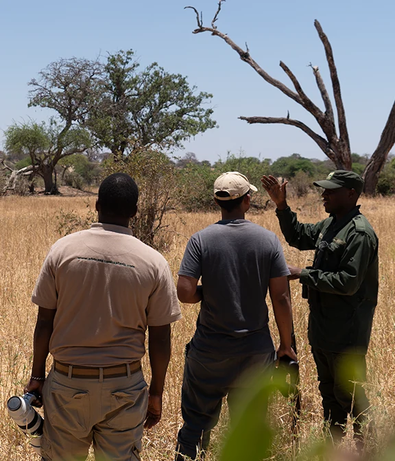 Tanzania Safari Cost