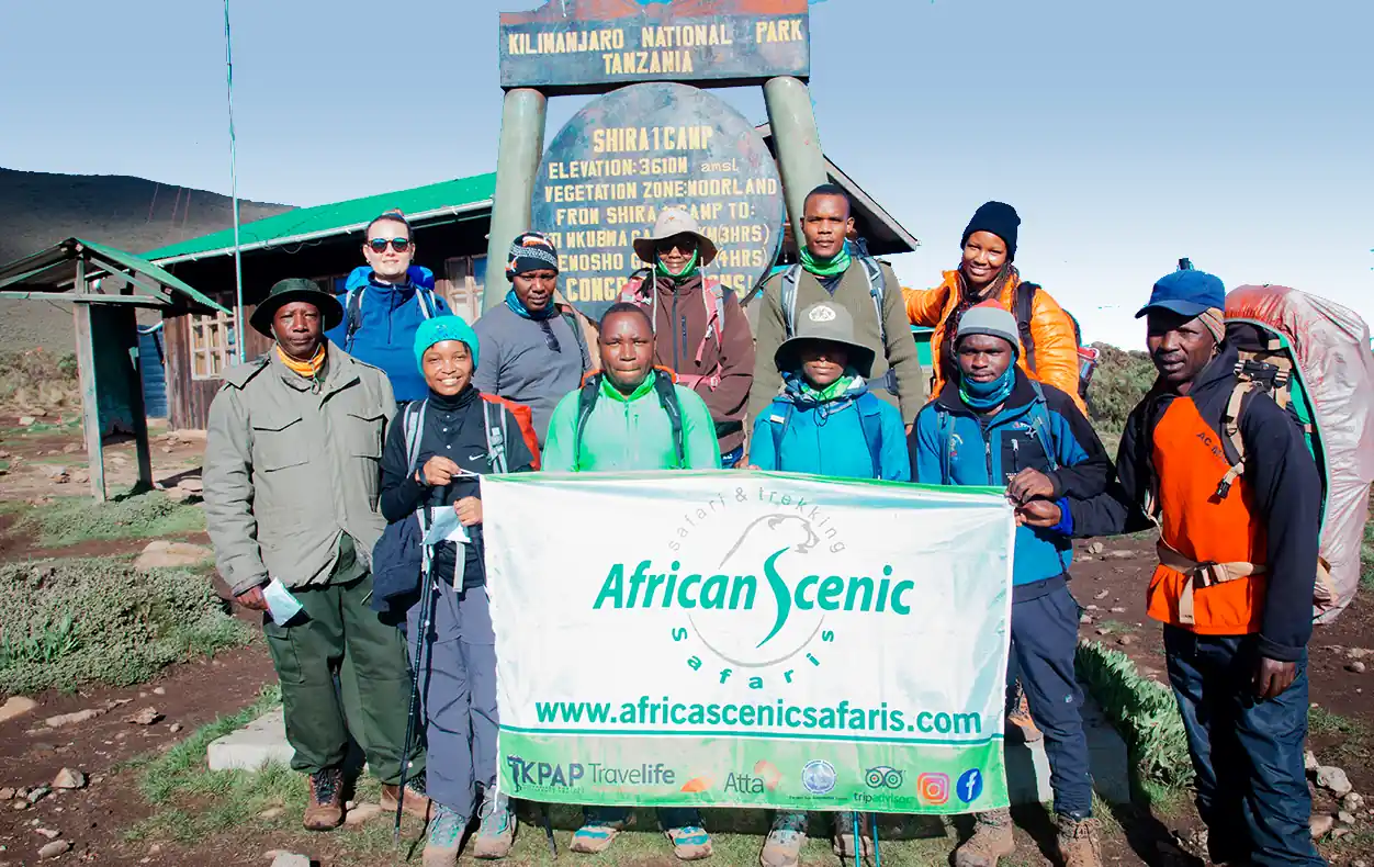 Years Of Proven Experience