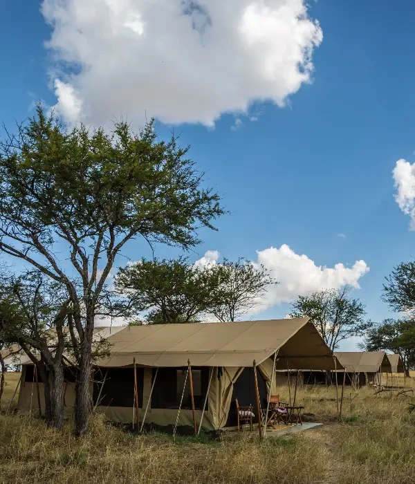 4 Days Safari Basic Camping