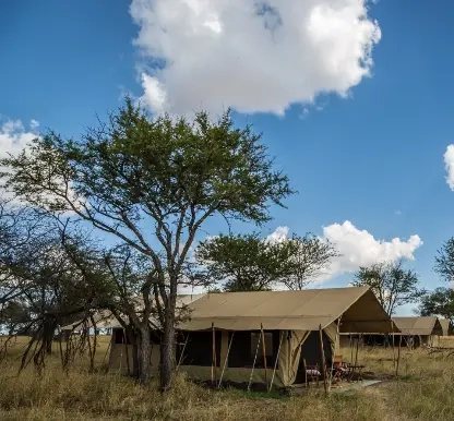 4 Days Safari Basic Camping