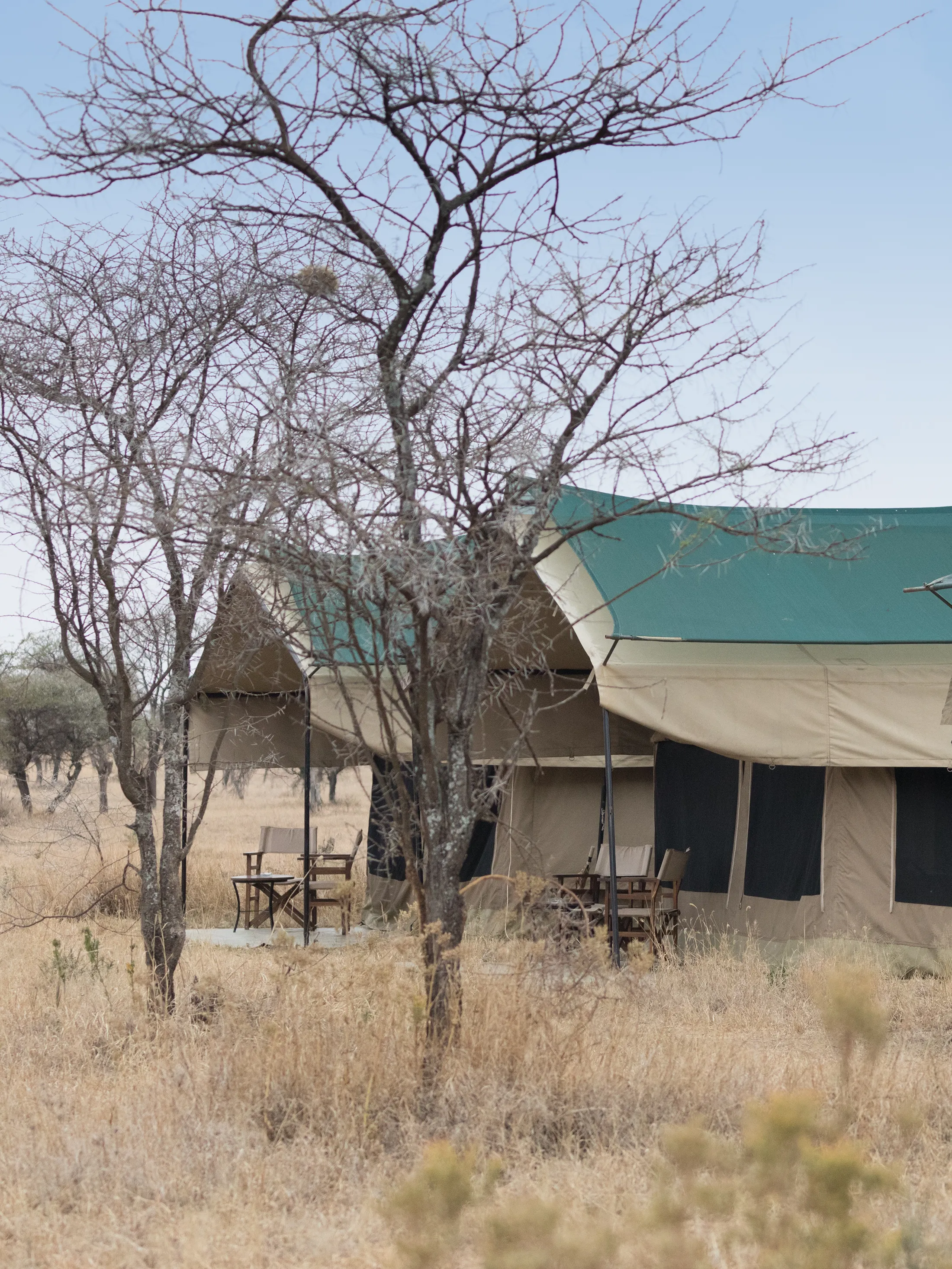 5 Days Northern Circuit Budget Basic Camping Safari