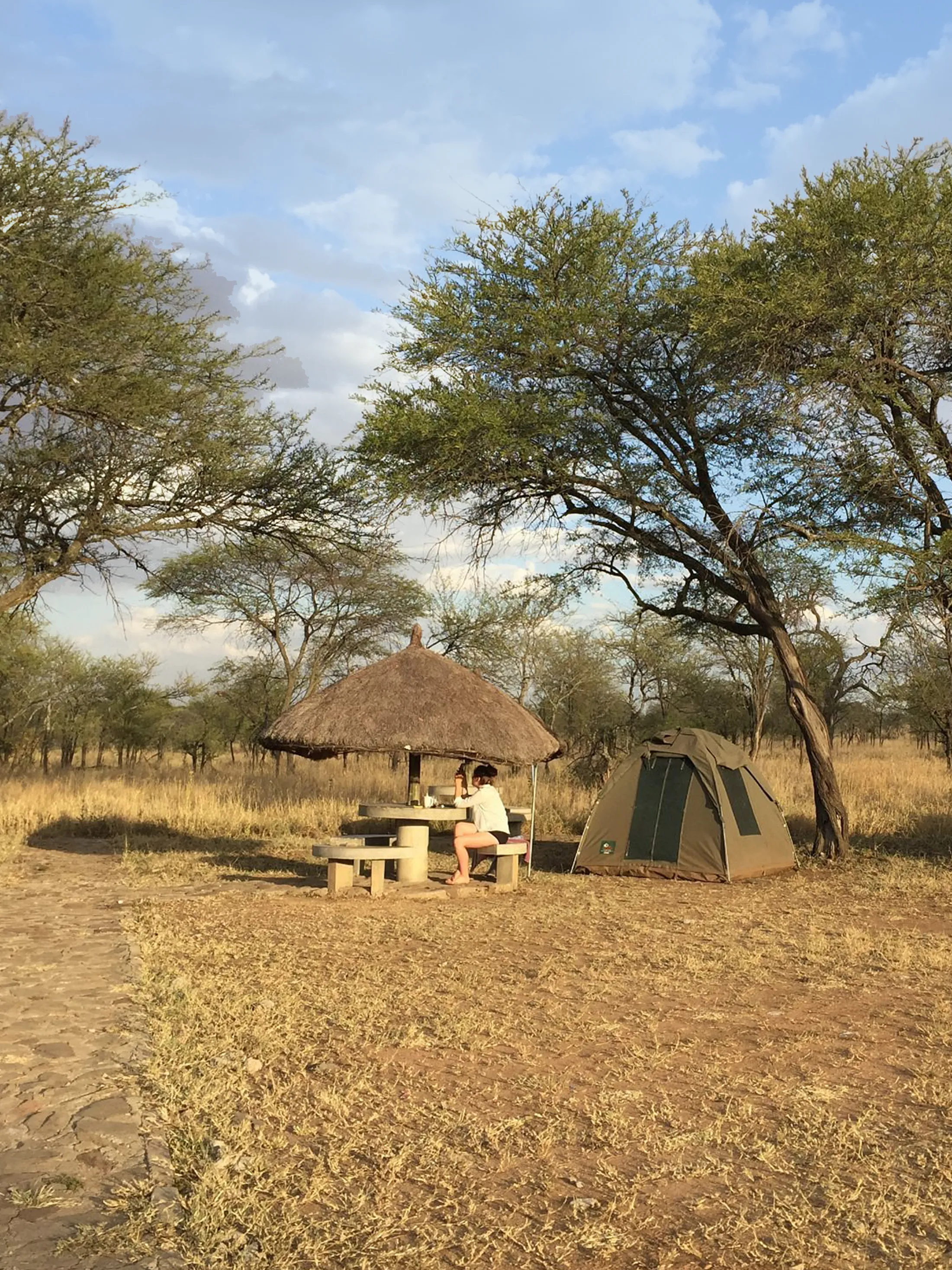 5 Days Northern Circuit Budget Basic Camping Safari