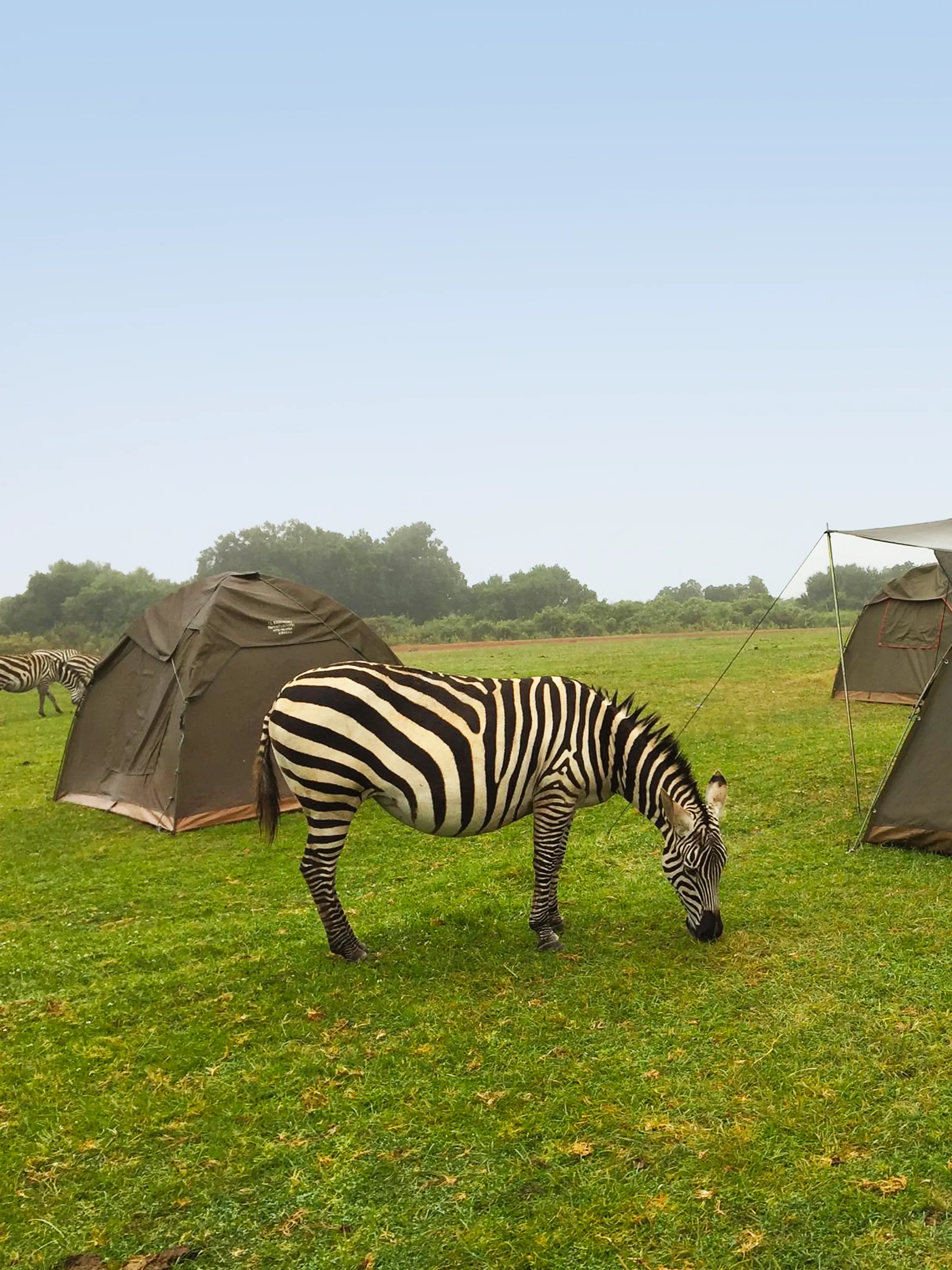 5 Days Northern Circuit Budget Basic Camping Safari