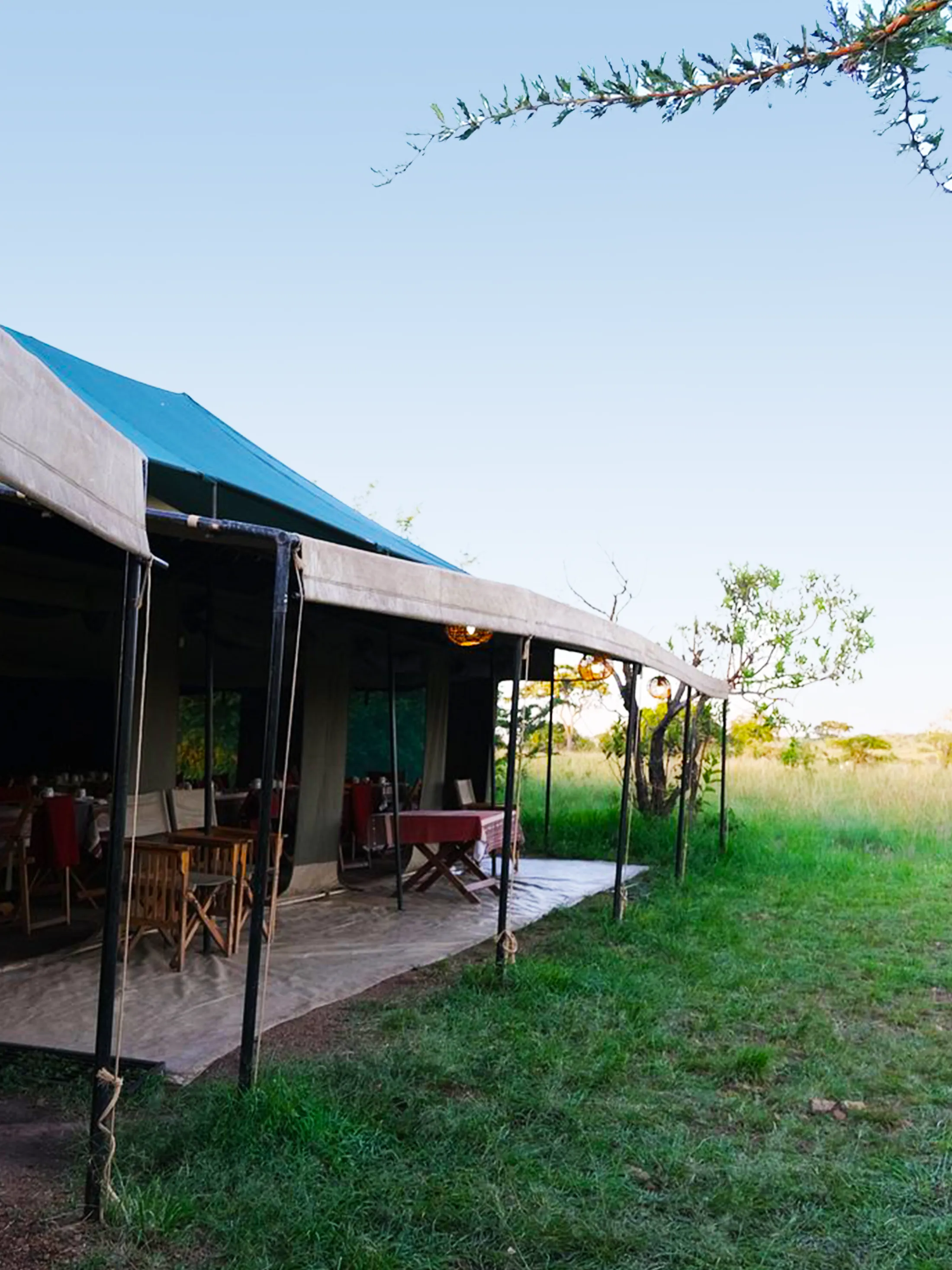 5 Days Northern Circuit Budget Basic Camping Safari