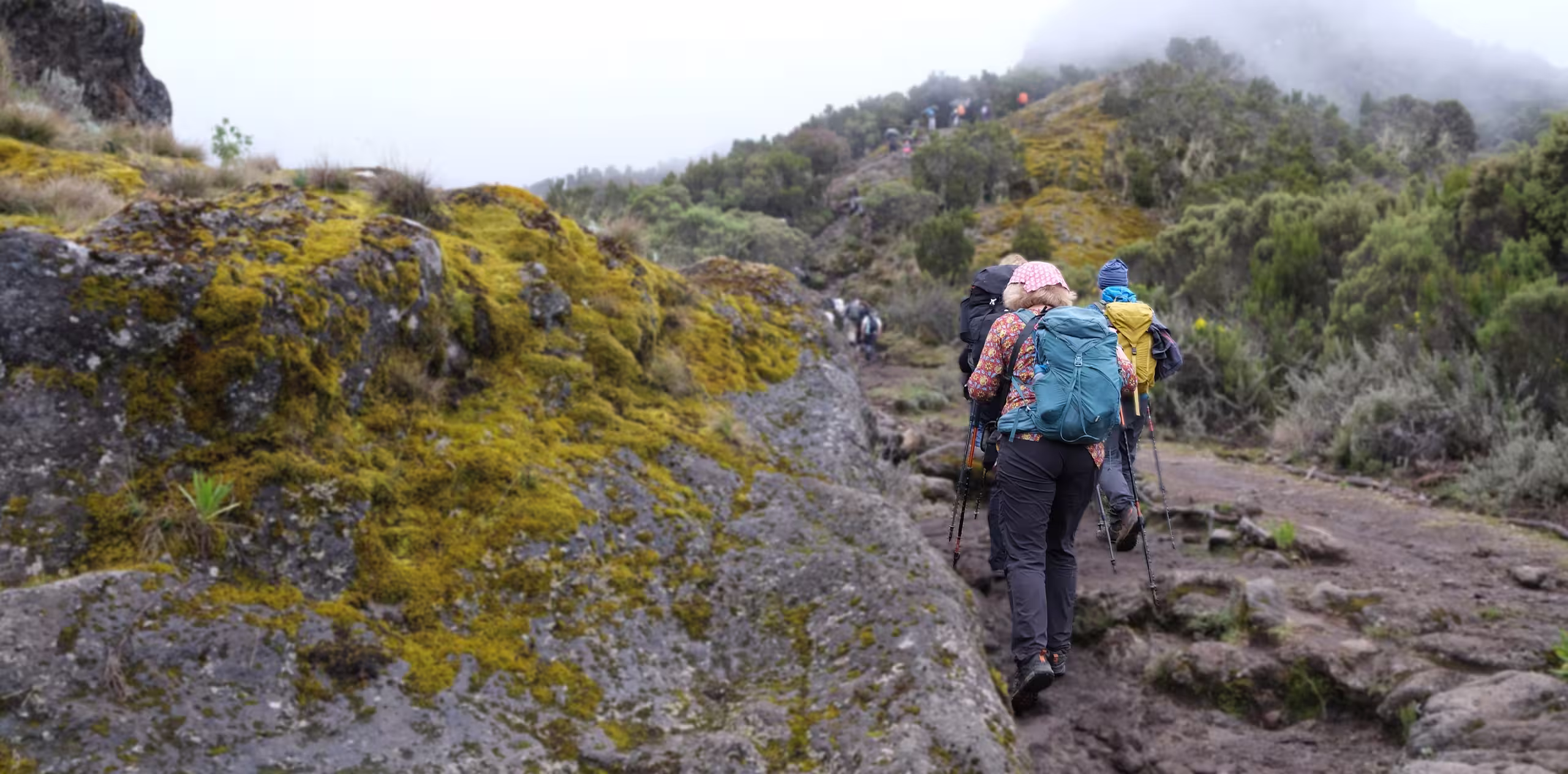 8 Days Lemosho Route