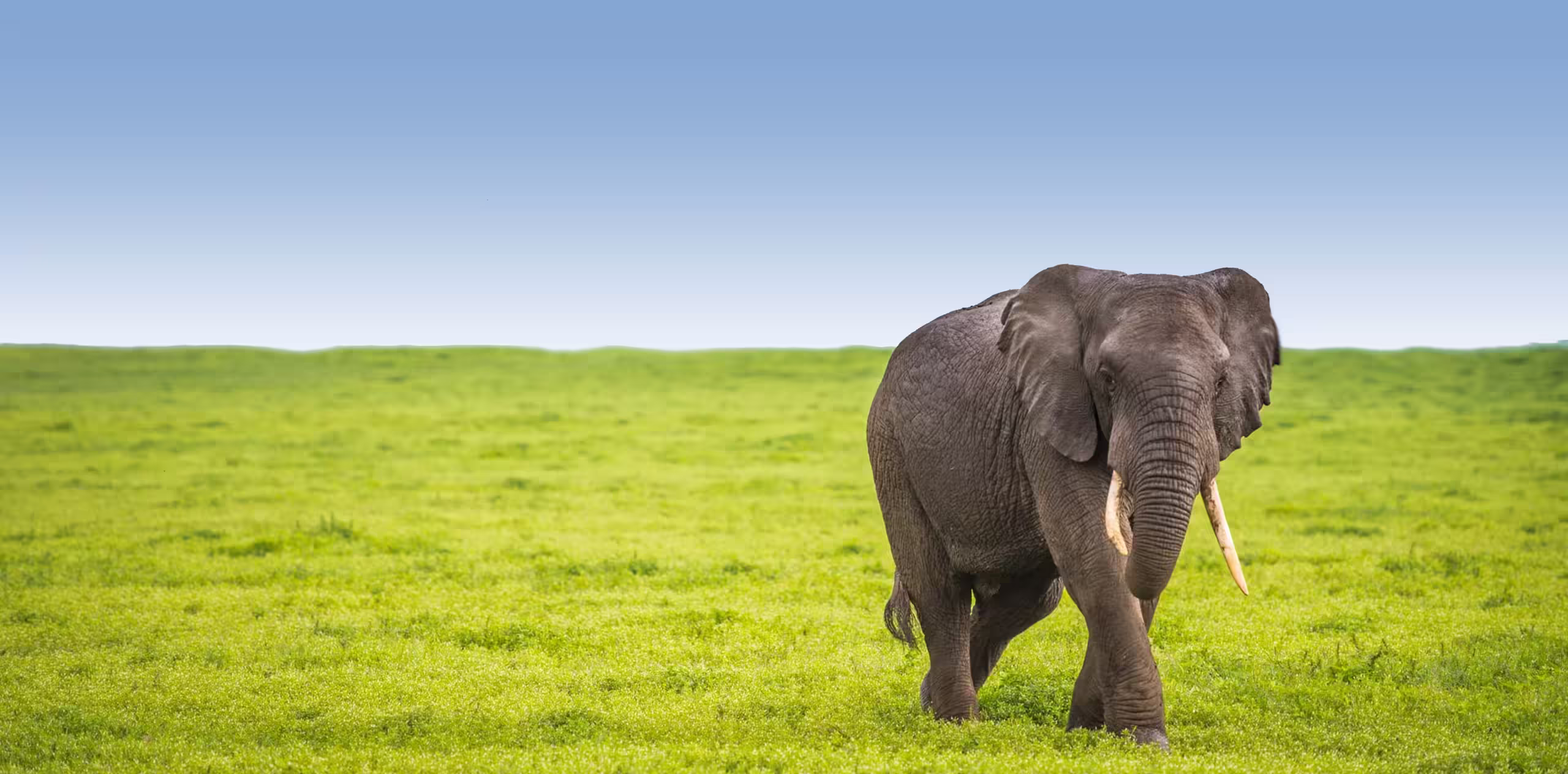 Best Time To Visit Tanzania