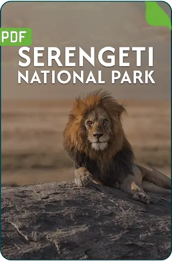 Tanzania Safari Packing List