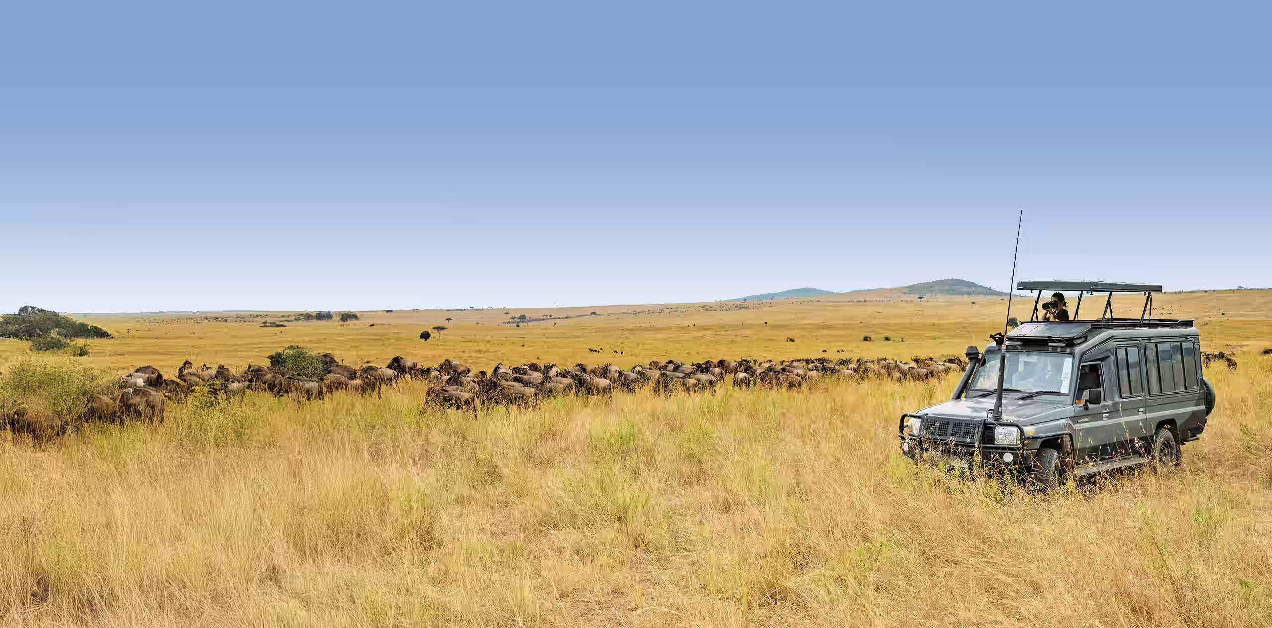 Things To Do In Tanzania