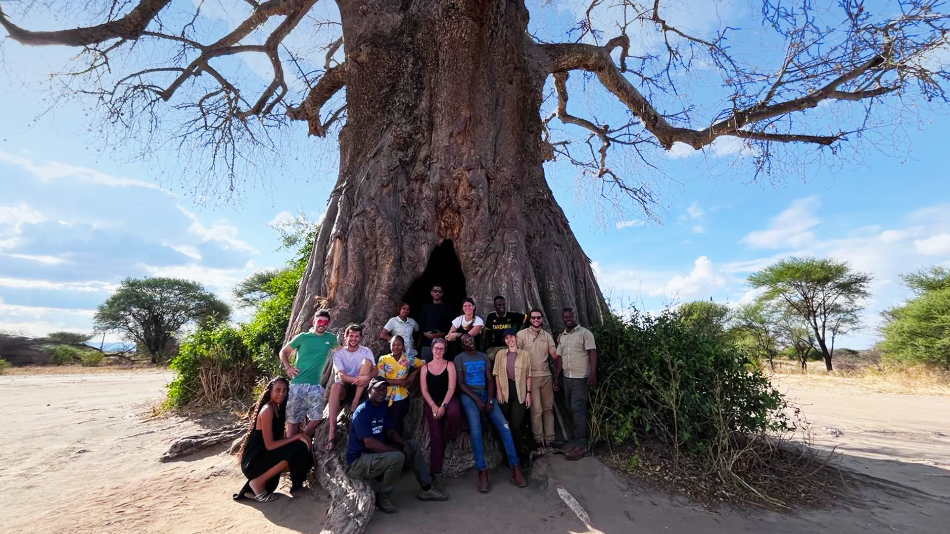 Tanzania Safari