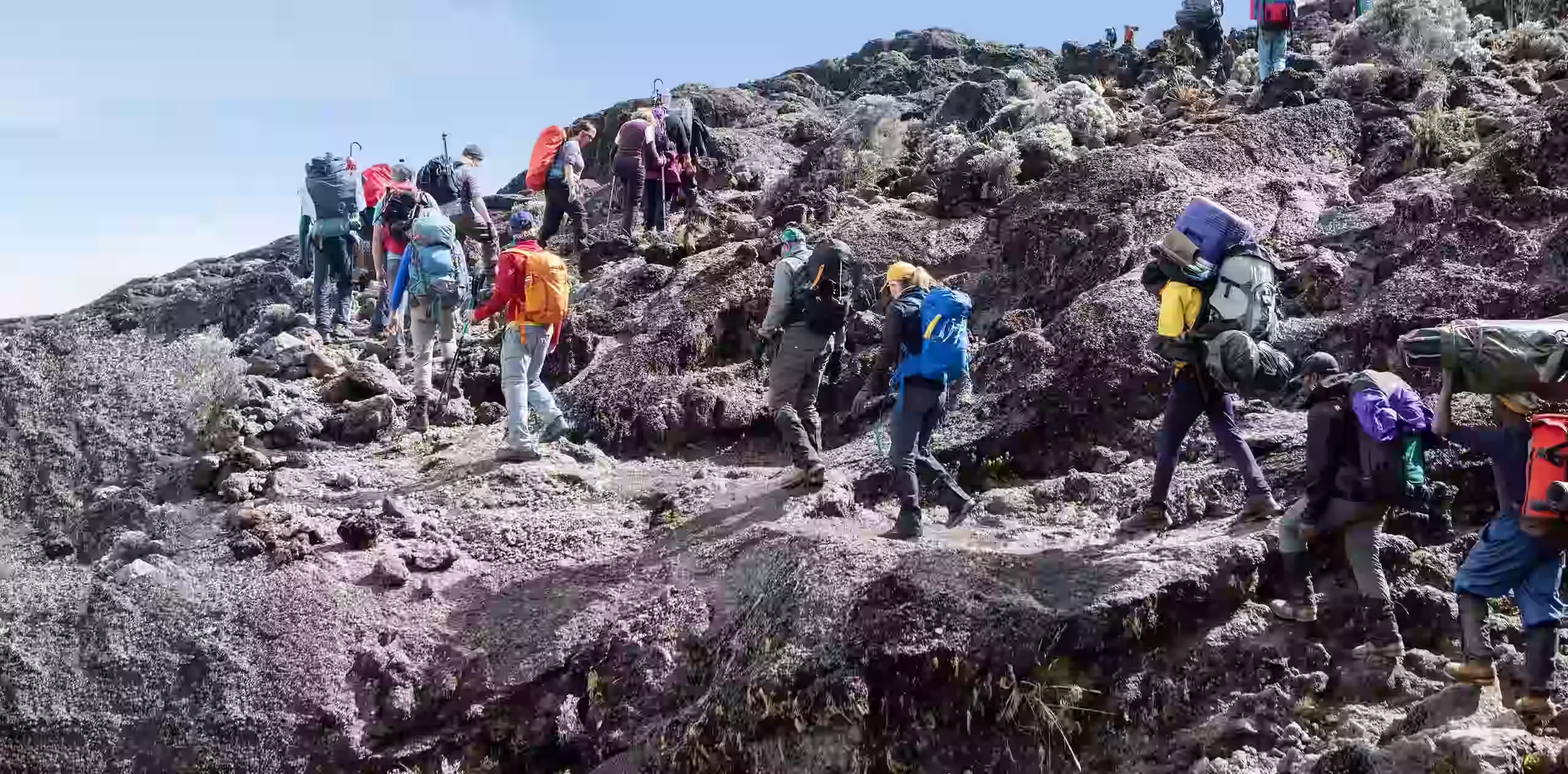 Barranco Wall Kilimanjaro