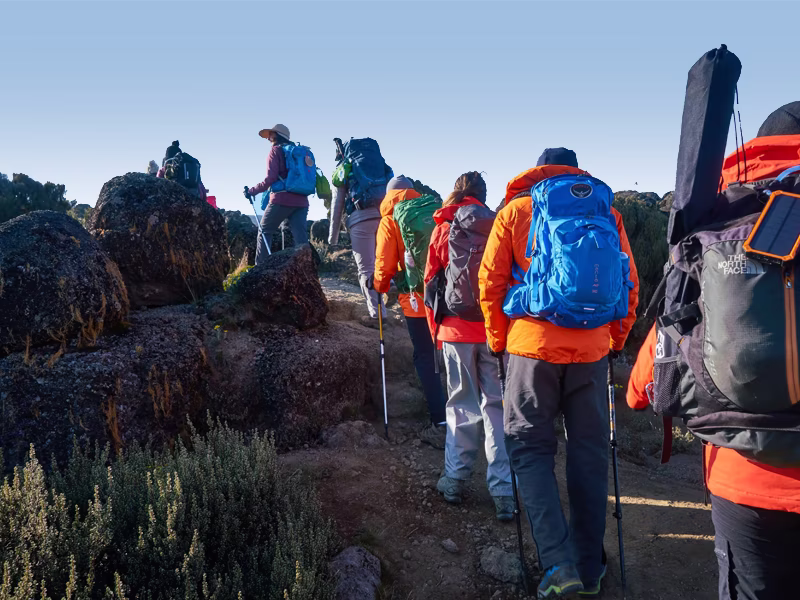 Best Kilimanjaro Climb Guides