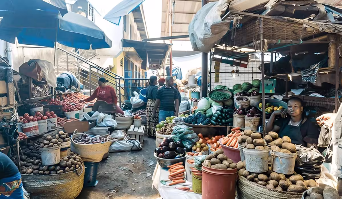 50 Things To Do In Arusha