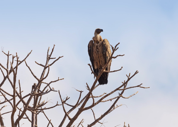 Fun Things To Do In Arusha