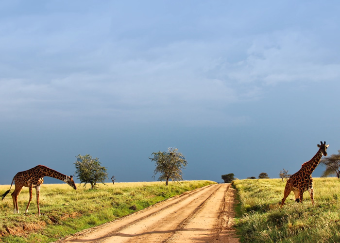 Ngorongoro Tour Packages