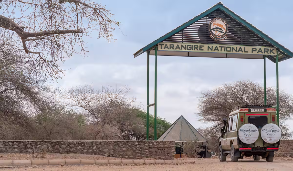 Getting to Tarangire