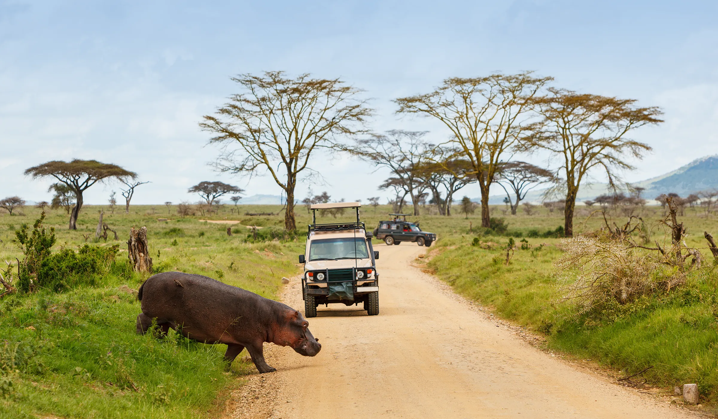 How To Compare Tanzania Safari