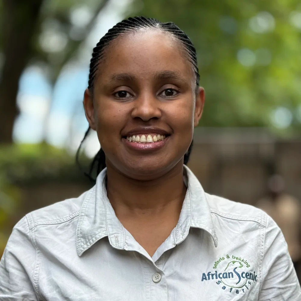 African Scenic Safaris