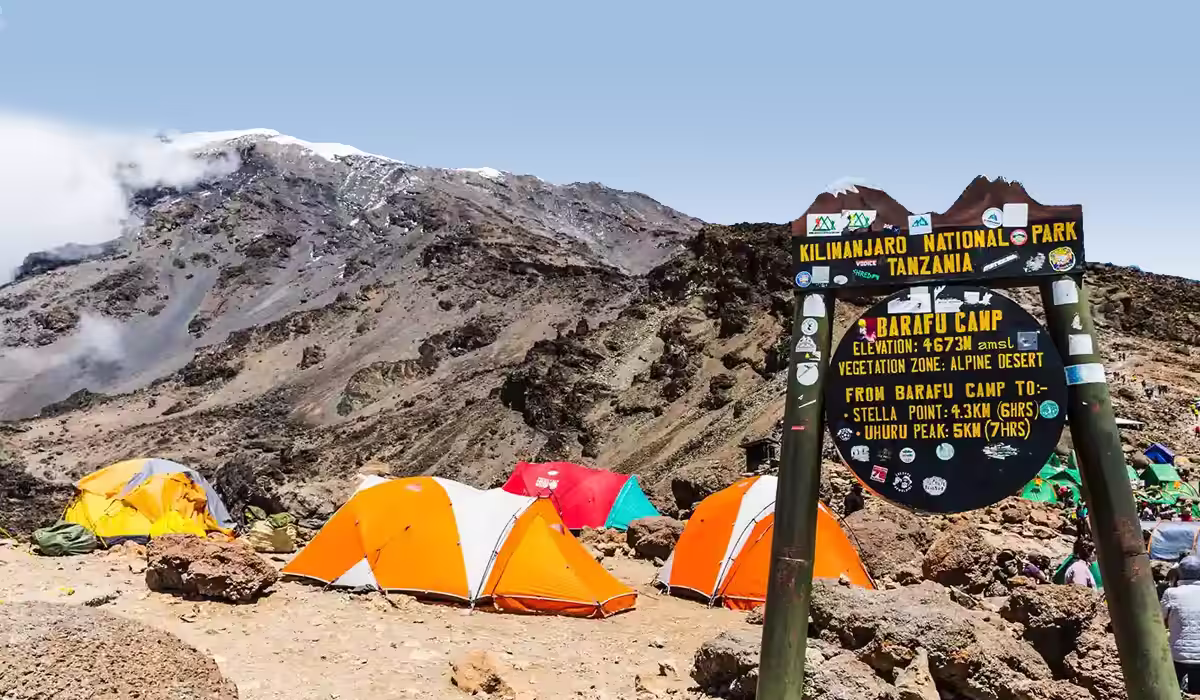 Mount Kilimanjaro Base Camps